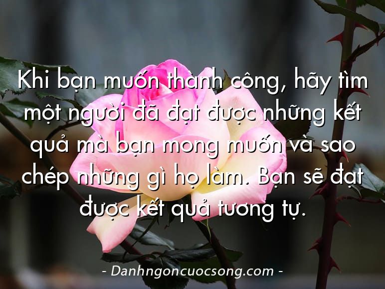 Khi bạn muốn thành công, hãy tìm một người đã đạt được những kết quả mà bạn mong muốn và sao chép những gì họ làm. Bạn sẽ đạt được kết quả tương tự.