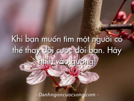 Khi bạn muốn tìm một người có thể thay đổi cuộc đời bạn. Hãy nhìn vào gương!