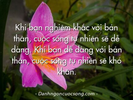 Khi bạn nghiêm khắc với bản thân, cuộc sống tự nhiên sẽ dễ dàng. Khi bạn dễ dàng với bản thân, cuộc sống tự nhiên sẽ khó khăn.