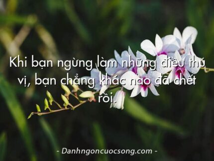 Khi bạn ngừng làm những điều thú vị, bạn chẳng khác nào đã chết rồi.