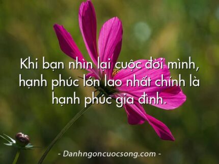 Khi bạn nhìn lại cuộc đời mình, hạnh phúc lớn lao nhất chính là hạnh phúc gia đình.