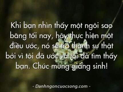 Khi bạn nhìn thấy một ngôi sao băng tối nay, hãy thực hiện một điều ước, nó sẽ trở thành sự thật bởi vì tôi đã ước và tôi đã tìm thấy bạn. Chúc mừng giáng sinh!