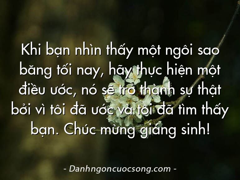 Khi bạn nhìn thấy một ngôi sao băng tối nay, hãy thực hiện một điều ước, nó sẽ trở thành sự thật bởi vì tôi đã ước và tôi đã tìm thấy bạn. Chúc mừng giáng sinh!