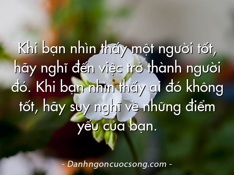 Khi bạn nhìn thấy một người tốt, hãy nghĩ đến việc trở thành người đó. Khi bạn nhìn thấy ai đó không tốt, hãy suy nghĩ về những điểm yếu của bạn.
