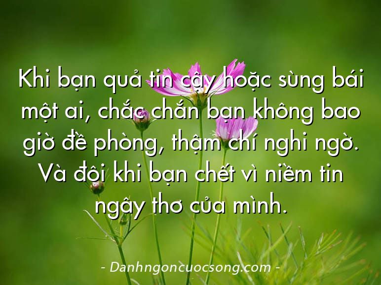 Khi bạn quả tin cậy hoặc sùng bái một ai, chắc chắn bạn không bao giờ đề phòng, thậm chí nghi ngờ. Và đôi khi bạn chết vì niềm tin ngây thơ của mình.