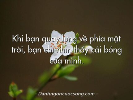 Khi bạn quay lưng về phía mặt trời, bạn chỉ nhìn thấy cái bóng của mình.