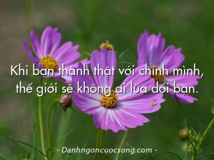 Khi bạn thành thật với chính mình, thế giới sẽ không ai lừa dối bạn.