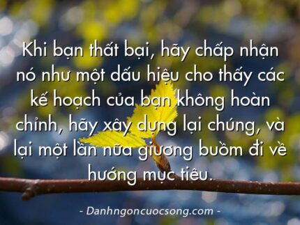 Khi bạn thất bại, hãy chấp nhận nó như một dấu hiệu cho thấy các kế hoạch của bạn không hoàn chỉnh, hãy xây dựng lại chúng, và lại một lần nữa giương buồm đi về hướng mục tiêu.