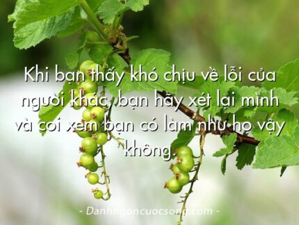 Khi bạn thấy khó chịu về lỗi của người khác, bạn hãy xét lại mình và coi xem bạn có làm như họ vậy không.
