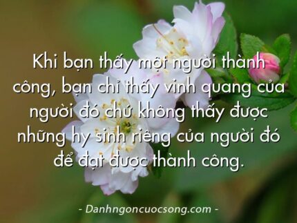 Khi bạn thấy một người thành công, bạn chỉ thấy vinh quang của người đó chứ không thấy được những hy sinh riêng của người đó để đạt được thành công.