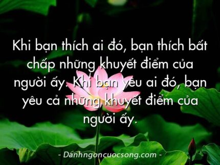 Khi bạn thích ai đó, bạn thích bất chấp những khuyết điểm của người ấy. Khi bạn yêu ai đó, bạn yêu cả những khuyết điểm của người ấy.