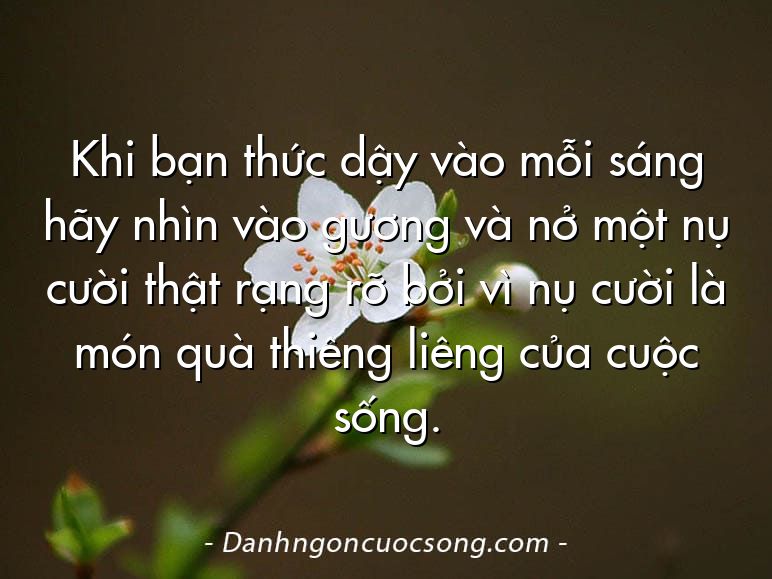 Khi bạn thức dậy vào mỗi sáng hãy nhìn vào gương và nở một nụ cười thật rạng rỡ bởi vì nụ cười là món quà thiêng liêng của cuộc sống.