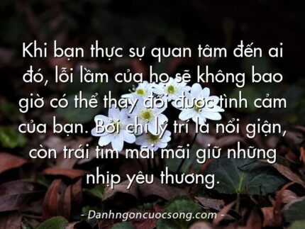 Khi bạn thực sự quan tâm đến ai đó, lỗi lầm của họ sẽ không bao giờ có thể thay đổi được tình cảm của bạn. Bởi chỉ lý trí là nổi giận, còn trái tim mãi mãi giữ những nhịp yêu thương.