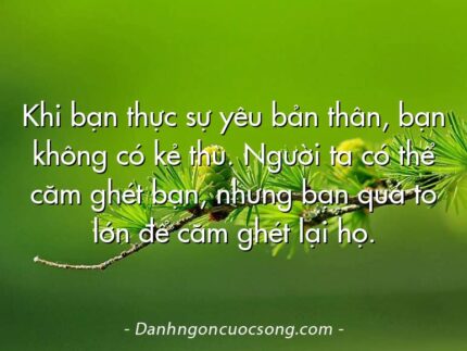 Khi bạn thực sự yêu bản thân, bạn không có kẻ thù. Người ta có thể căm ghét bạn, nhưng bạn quá to lớn để căm ghét lại họ.