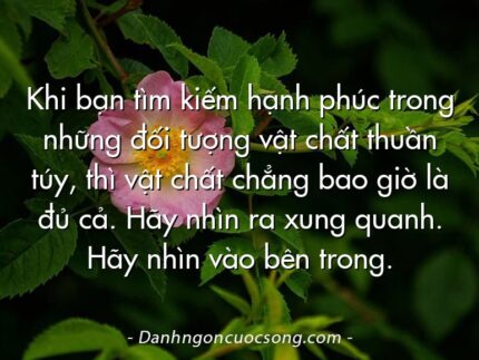 Khi bạn tìm kiếm hạnh phúc trong những đối tượng vật chất thuần túy, thì vật chất chẳng bao giờ là đủ cả. Hãy nhìn ra xung quanh. Hãy nhìn vào bên trong.