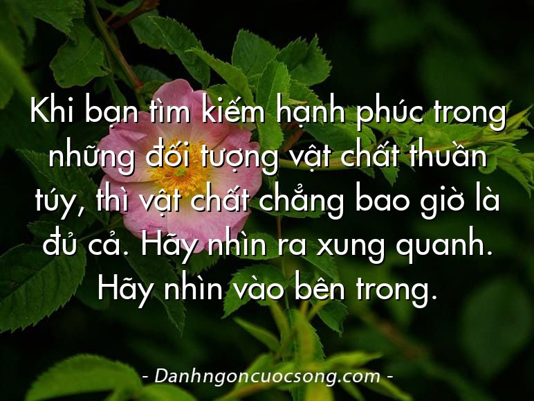 Khi bạn tìm kiếm hạnh phúc trong những đối tượng vật chất thuần túy, thì vật chất chẳng bao giờ là đủ cả. Hãy nhìn ra xung quanh. Hãy nhìn vào bên trong.