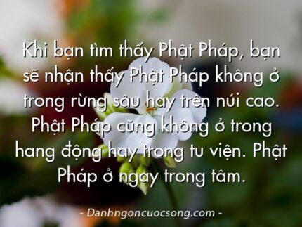Khi bạn tìm thấy Phật Pháp, bạn sẽ nhận thấy Phật Pháp không ở trong rừng sâu hay trên núi cao. Phật Pháp cũng không ở trong hang động hay trong tu viện. Phật Pháp ở ngay trong tâm.