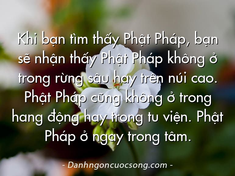 Khi bạn tìm thấy Phật Pháp, bạn sẽ nhận thấy Phật Pháp không ở trong rừng sâu hay trên núi cao. Phật Pháp cũng không ở trong hang động hay trong tu viện. Phật Pháp ở ngay trong tâm.