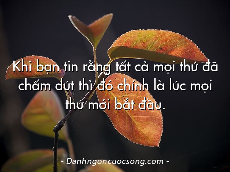 Khi bạn tin rằng tất cả mọi thứ đã chấm dứt thì đó chính là lúc mọi thứ mới bắt đầu.