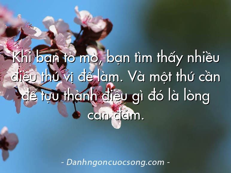 Khi bạn tò mò, bạn tìm thấy nhiều điều thú vị để làm. Và một thứ cần để tựu thành điều gì đó là lòng can đảm.