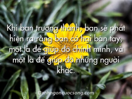 Khi bạn trưởng thành, bạn sẽ phát hiện ra rằng bạn có hai bàn tay, một là để giúp đỡ chính mình, và một là để giúp đỡ những người khác.