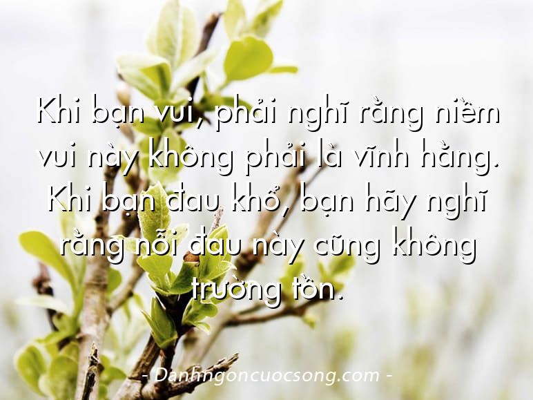 Khi bạn vui, phải nghĩ rằng niềm vui này không phải là vĩnh hằng. Khi bạn đau khổ, bạn hãy nghĩ rằng nỗi đau này cũng không trường tồn.