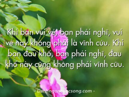 Khi bạn vui vẻ, bạn phải nghĩ, vui vẻ này không phải là vĩnh cửu. Khi bạn đau khổ, bạn phải nghĩ, đau khổ này cũng không phải vĩnh cữu.
