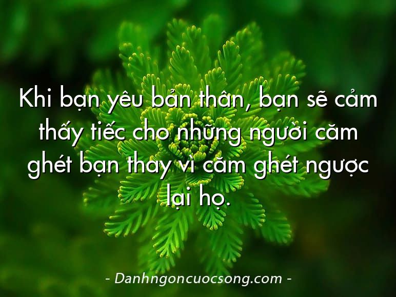 Khi bạn yêu bản thân, bạn sẽ cảm thấy tiếc cho những người căm ghét bạn thay vì căm ghét ngược lại họ.