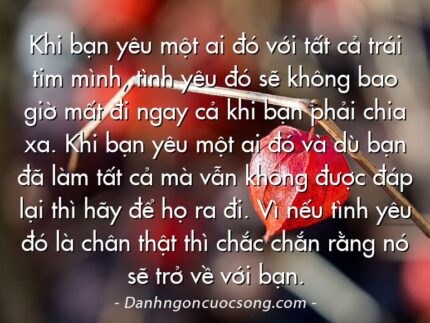 Khi bạn yêu một ai đó với tất cả trái tim mình, tình yêu đó sẽ không bao giờ mất đi ngay cả khi bạn phải chia xa. Khi bạn yêu một ai đó và dù bạn đã làm tất cả mà vẫn không được đáp lại thì hãy để họ ra đi. Vì nếu tình yêu đó là chân thật thì chắc chắn rằng nó sẽ trở về với bạn.