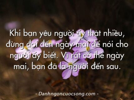 Khi bạn yêu người ấy thật nhiều, đừng đợi đến ngày mai để nói cho người ấy biết. Vì rất có thể ngày mai, bạn đã là người đến sau.