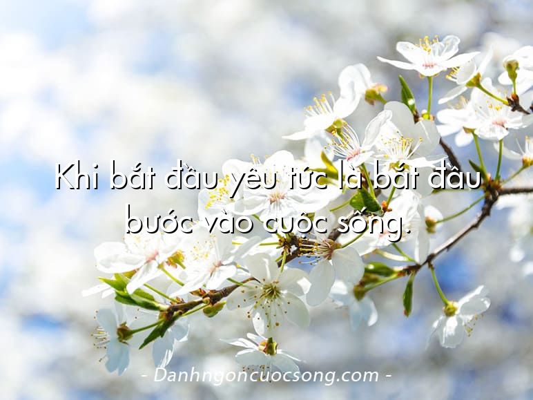 Khi bắt đầu yêu tức là bắt đầu bước vào cuộc sống.