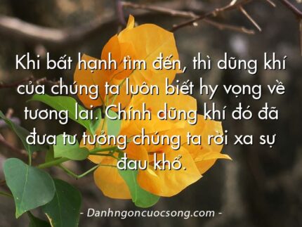Khi bất hạnh tìm đến, thì dũng khí của chúng ta luôn biết hy vọng về tương lai. Chính dũng khí đó đã đưa tư tưởng chúng ta rời xa sự đau khổ.
