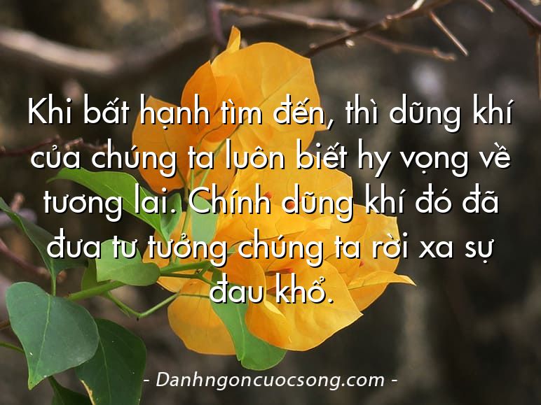 Khi bất hạnh tìm đến, thì dũng khí của chúng ta luôn biết hy vọng về tương lai. Chính dũng khí đó đã đưa tư tưởng chúng ta rời xa sự đau khổ.