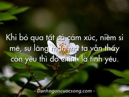 Khi bỏ qua tất cả cảm xúc, niềm si mê, sự lãng mạn mà ta vẫn thấy còn yêu thì đó chính là tình yêu.