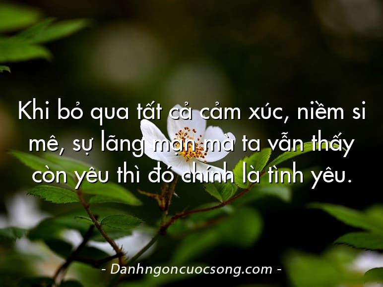 Khi bỏ qua tất cả cảm xúc, niềm si mê, sự lãng mạn mà ta vẫn thấy còn yêu thì đó chính là tình yêu.
