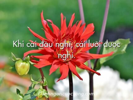 Khi cái đầu nghĩ, cái lưỡi được nghỉ.