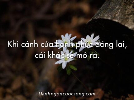 Khi cánh cửa hạnh phúc đóng lại, cái khác sẽ mở ra.
