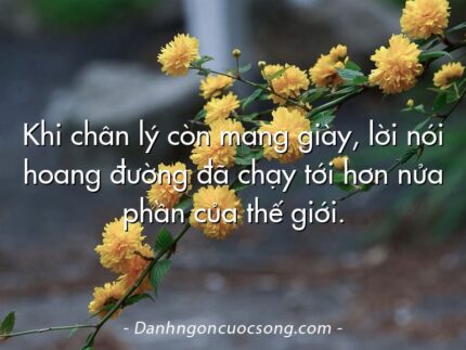 Khi chân lý còn mang giày, lời nói hoang đường đã chạy tới hơn nửa phần của thế giới.
