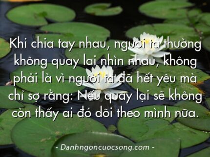 Khi chia tay nhau, người ta thường không quay lai nhìn nhau, không phải là vì người ta đã hết yêu mà chỉ sợ rằng: Nếu quay lại sẽ không còn thấy ai đó dõi theo mình nữa.