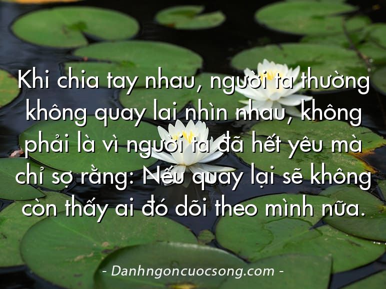 Khi chia tay nhau, người ta thường không quay lai nhìn nhau, không phải là vì người ta đã hết yêu mà chỉ sợ rằng: Nếu quay lại sẽ không còn thấy ai đó dõi theo mình nữa.