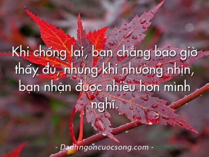 Khi chống lại, bạn chẳng bao giờ thấy đủ, nhưng khi nhường nhịn, bạn nhận được nhiều hơn mình nghĩ.