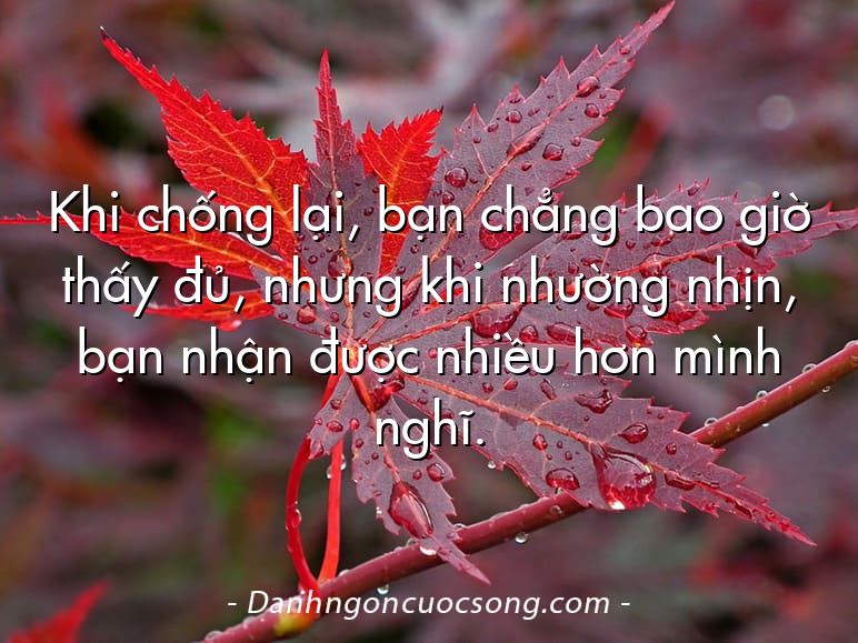 Khi chống lại, bạn chẳng bao giờ thấy đủ, nhưng khi nhường nhịn, bạn nhận được nhiều hơn mình nghĩ.
