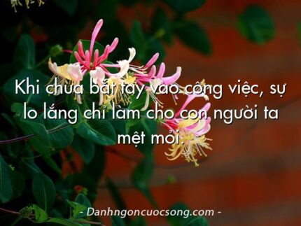 Khi chưa bắt tay vào công việc, sự lo lắng chỉ làm cho con người ta mệt mỏi.