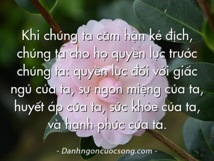 Khi chúng ta căm hận kẻ địch, chúng ta cho họ quyền lực trước chúng ta: quyền lực đối với giấc ngủ của ta, sự ngon miệng của ta, huyết áp của ta, sức khỏe của ta, và hạnh phúc của ta.