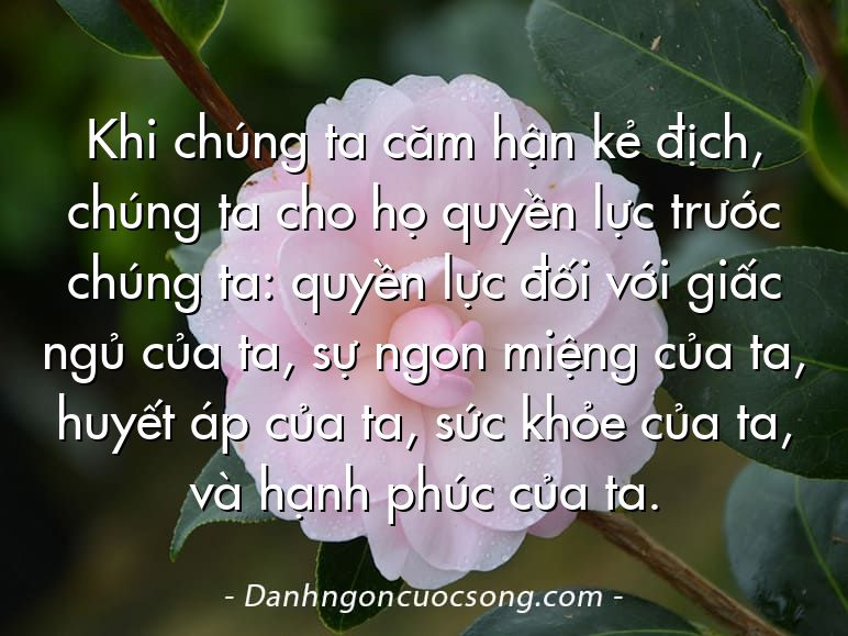 Khi chúng ta căm hận kẻ địch, chúng ta cho họ quyền lực trước chúng ta: quyền lực đối với giấc ngủ của ta, sự ngon miệng của ta, huyết áp của ta, sức khỏe của ta, và hạnh phúc của ta.