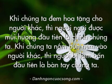 Khi chúng ta đem hoa tặng cho người khác, thì người ngửi được mùi hương đầu tiên là chính chúng ta. Khi chúng ta nắm bùn ném vào người khác, thì người bị làm bẩn đầu tiên là bàn tay chúng ta.
