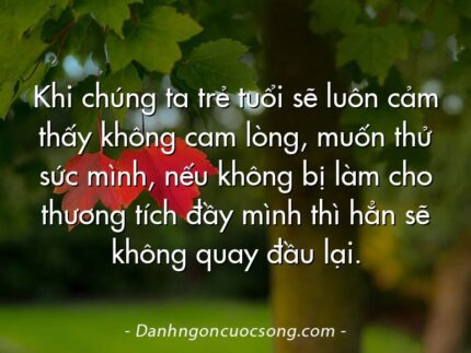 Khi chúng ta trẻ tuổi sẽ luôn cảm thấy không cam lòng, muốn thử sức mình, nếu không bị làm cho thương tích đầy mình thì hẳn sẽ không quay đầu lại.