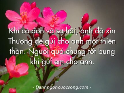 Khi cô đơn và sợ hãi, anh đã xin Thượng đế gửi cho anh một thiên thần. Người quá chừng tốt bụng khi gửi em cho anh.