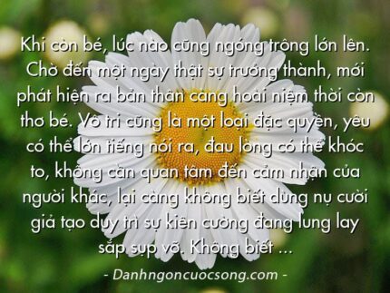 Khi còn bé, lúc nào cũng ngóng trông lớn lên. Chờ đến một ngày thật sự trưởng thành, mới phát hiện ra bản thân càng hoài niệm thời còn thơ bé. Vô tri cũng là một loại đặc quyền, yêu có thể lớn tiếng nói ra, đau lòng có thể khóc to, không cần quan tâm đến cảm nhận của người khác, lại càng không biết dùng nụ cười giả tạo duy trì sự kiên cường đang lung lay sắp sụp vỡ. Không biết gì thật tốt!