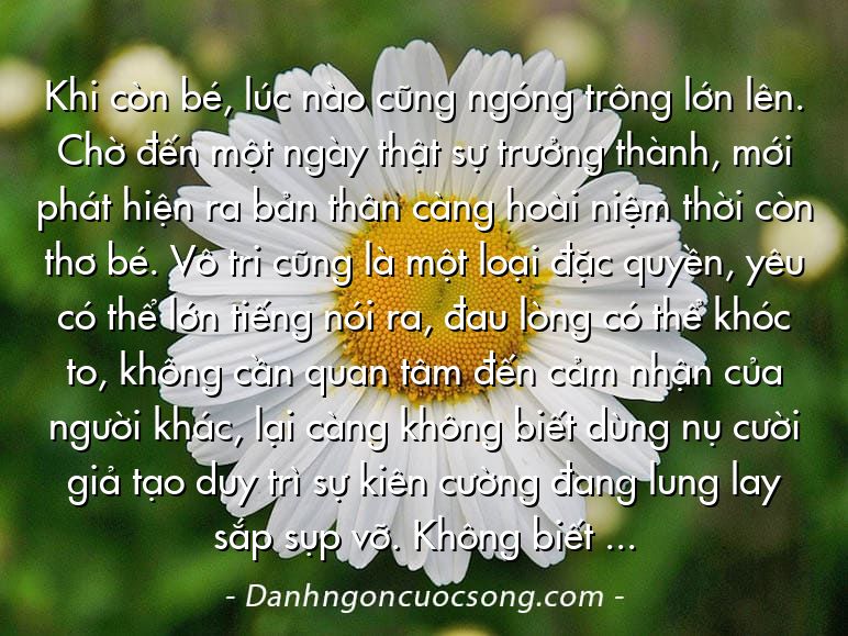 Khi còn bé, lúc nào cũng ngóng trông lớn lên. Chờ đến một ngày thật sự trưởng thành, mới phát hiện ra bản thân càng hoài niệm thời còn thơ bé. Vô tri cũng là một loại đặc quyền, yêu có thể lớn tiếng nói ra, đau lòng có thể khóc to, không cần quan tâm đến cảm nhận của người khác, lại càng không biết dùng nụ cười giả tạo duy trì sự kiên cường đang lung lay sắp sụp vỡ. Không biết gì thật tốt!
